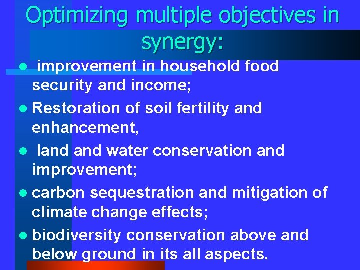 Optimizing multiple objectives in synergy: improvement in household food security and income; l Restoration