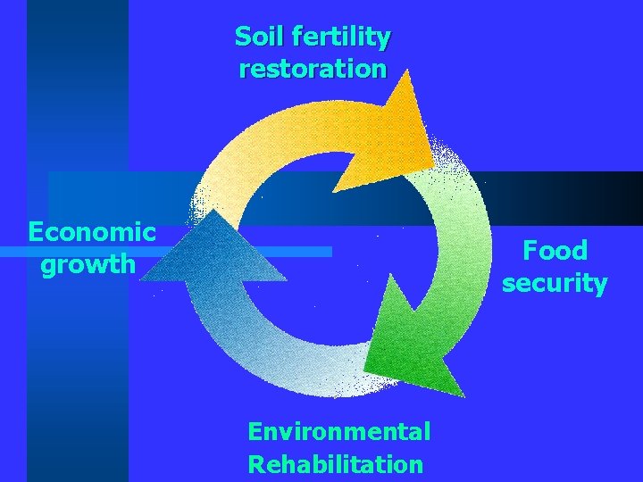 Soil fertility restoration Economic growth Food security Environmental Rehabilitation 