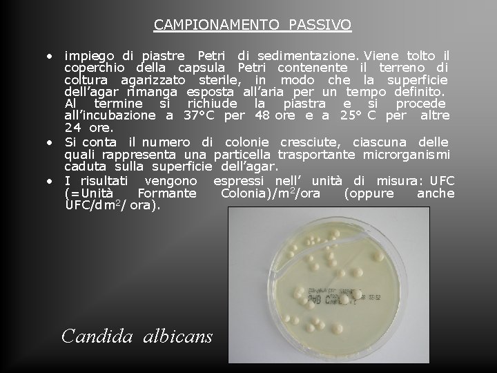 CAMPIONAMENTO PASSIVO • impiego di piastre Petri di sedimentazione. Viene tolto il coperchio della