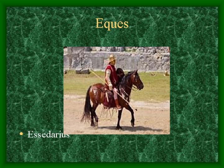 Eques • Essedarius 