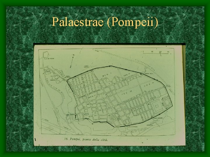 Palaestrae (Pompeii) 