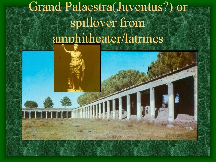 Grand Palaestra(Juventus? ) or spillover from amphitheater/latrines 