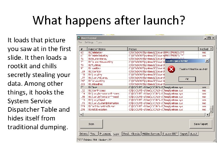 What happens after launch? It loads that picture you saw at in the first