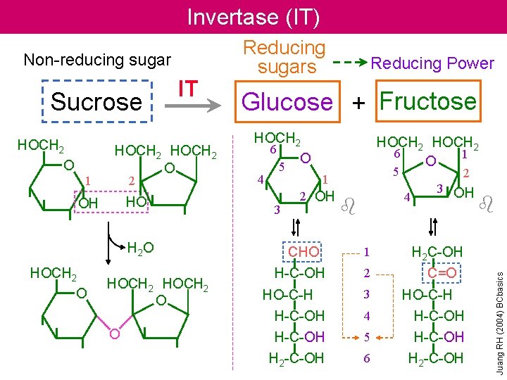 Invertase (IT) Sucrose HOCH 2 O 1 IT HOCH 2 O 2 HO OH