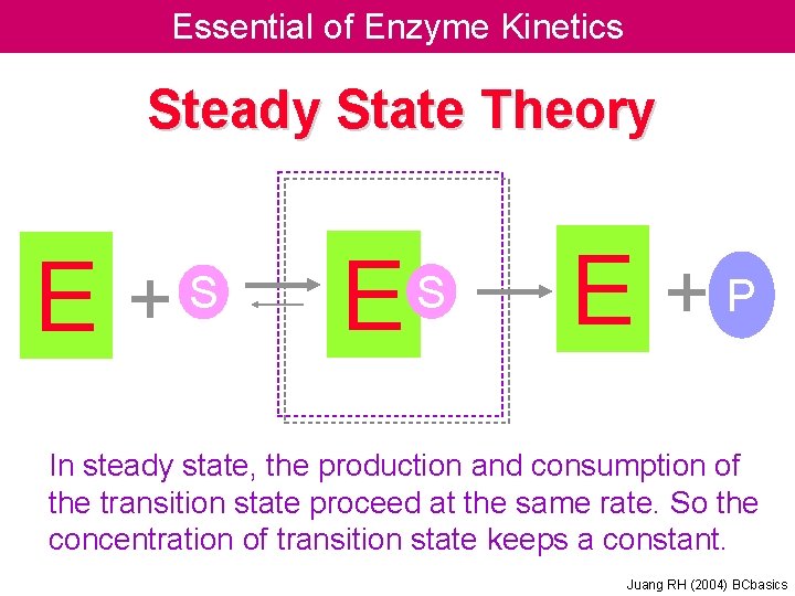 Essential of Enzyme Kinetics Steady State Theory E + S E +P In steady