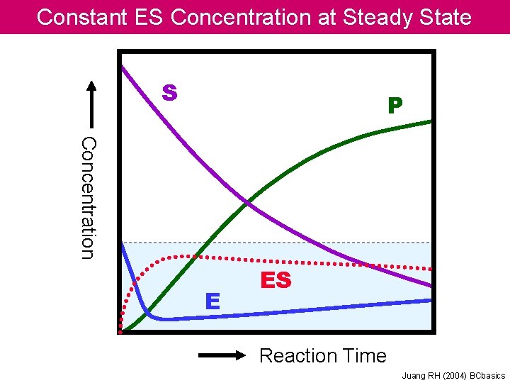 Constant ES Concentration at Steady State S P Concentration E ES Reaction Time Juang