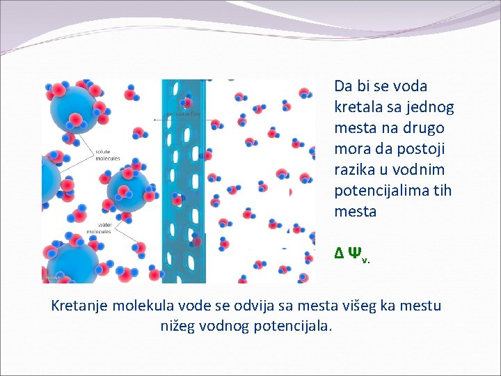 Da bi se voda kretala sa jednog mesta na drugo mora da postoji razika