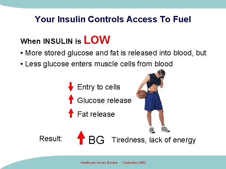 Your Insulin Controls Access To Fuel When INSULIN is LOW • More stored glucose