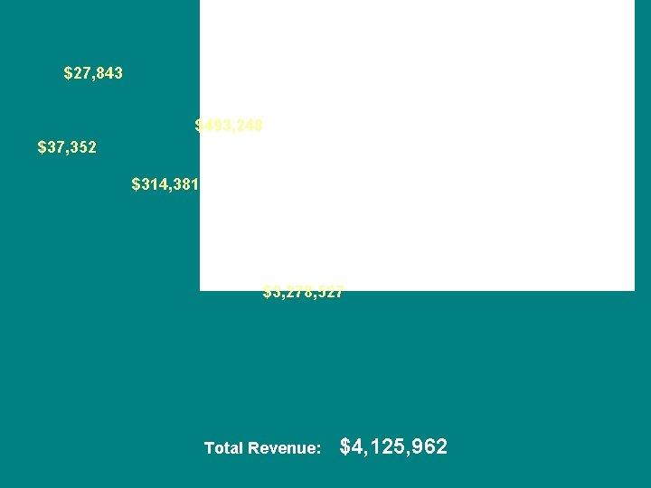 $27, 843 $493, 248 $37, 352 $314, 381 $3, 278, 527 Total Revenue: $4,