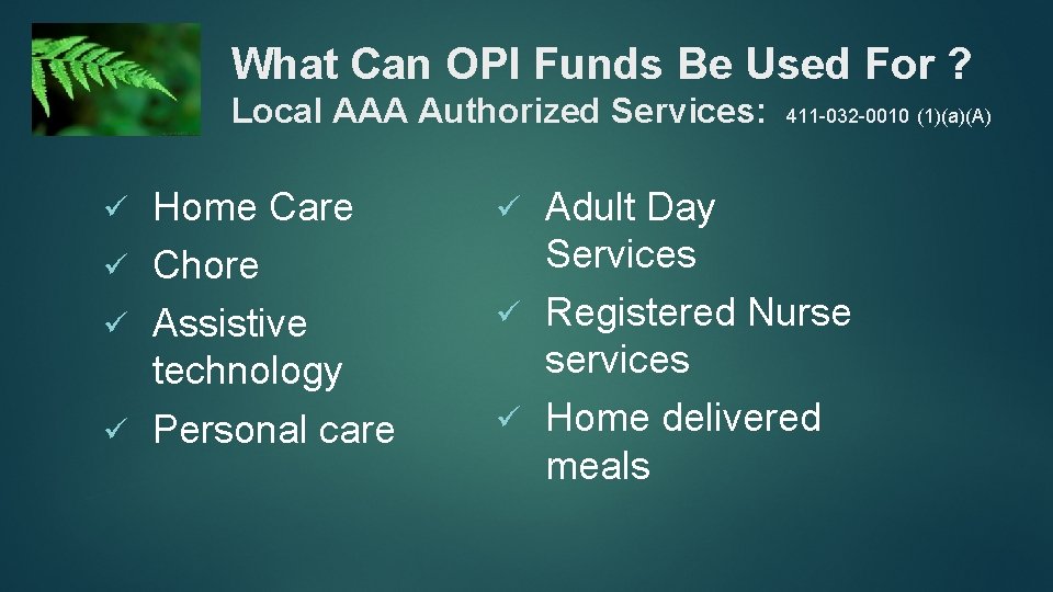 What Can OPI Funds Be Used For ? Local AAA Authorized Services: 411 -032