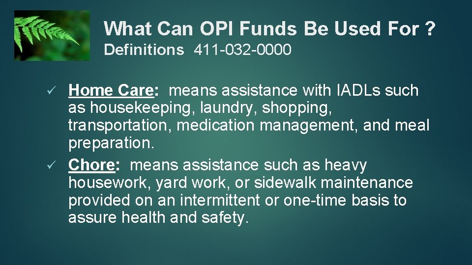 What Can OPI Funds Be Used For ? Definitions 411 -032 -0000 Home Care: