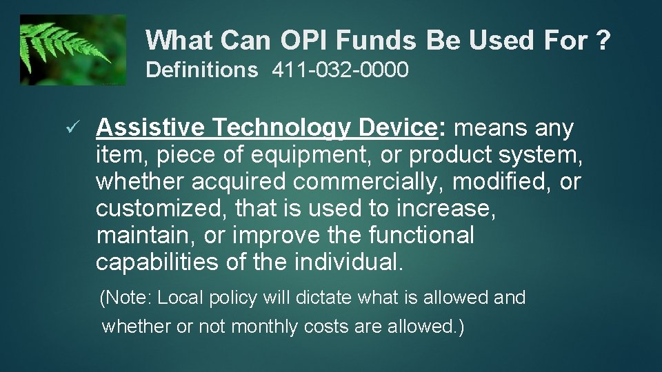 What Can OPI Funds Be Used For ? Definitions 411 -032 -0000 Assistive Technology