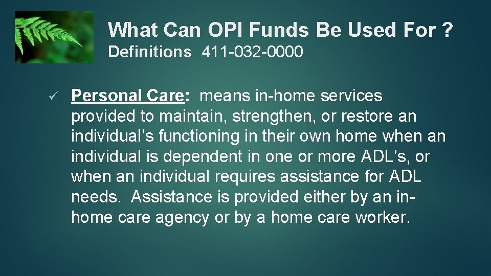 What Can OPI Funds Be Used For ? Definitions 411 -032 -0000 ü Personal
