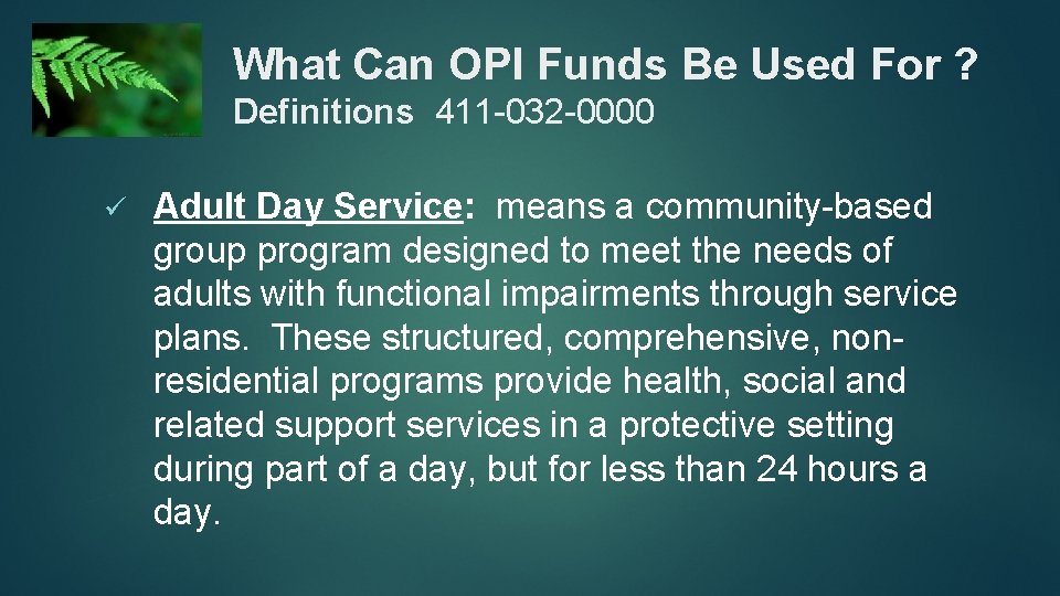 What Can OPI Funds Be Used For ? Definitions 411 -032 -0000 ü Adult