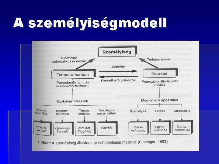 A személyiségmodell 
