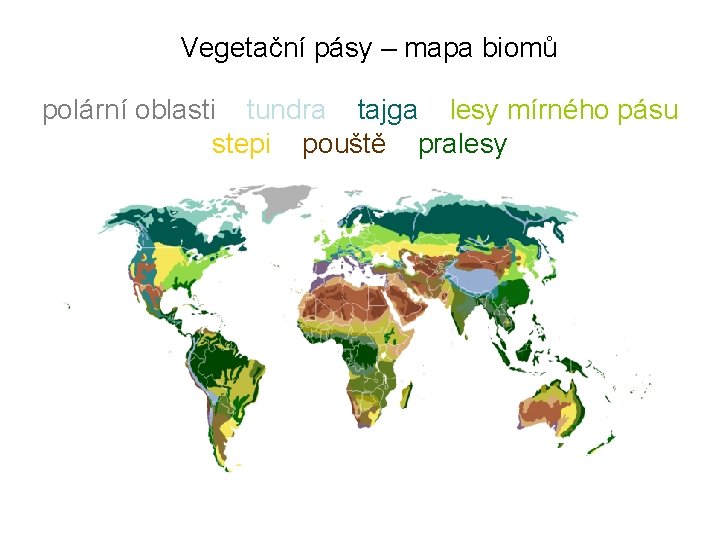 Vegetační pásy – mapa biomů polární oblasti tundra tajga lesy mírného pásu stepi pouště