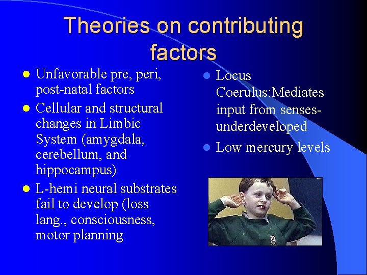 Theories on contributing factors Unfavorable pre, peri, post-natal factors l Cellular and structural changes