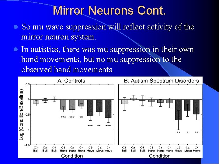 Mirror Neurons Cont. So mu wave suppression will reflect activity of the mirror neuron