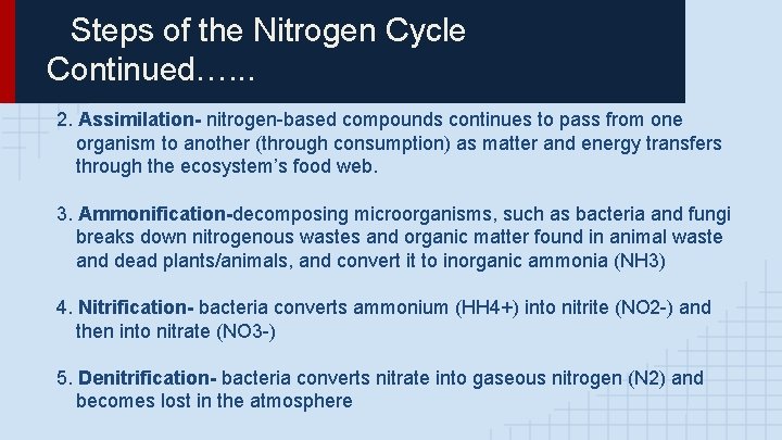 Steps of the Nitrogen Cycle Continued…. . . 2. Assimilation- nitrogen-based compounds continues to