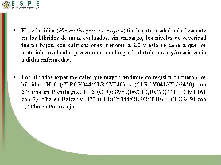  • El tizón foliar (Helminthosporium maydis) fue la enfermedad más frecuente en los