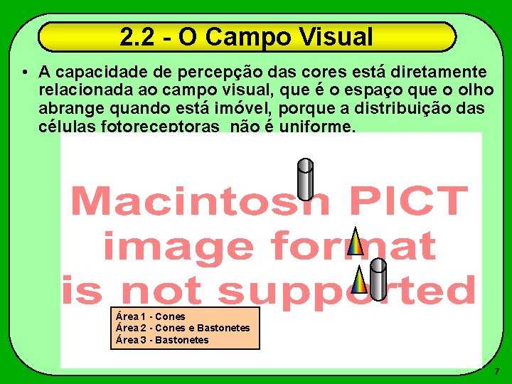 2. 2 - O Campo Visual • A capacidade de percepção das cores está