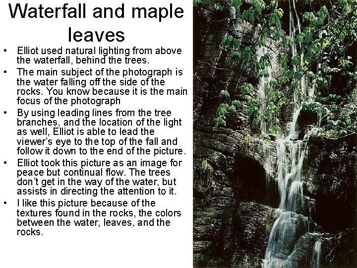 Waterfall and maple leaves • Elliot used natural lighting from above the waterfall, behind