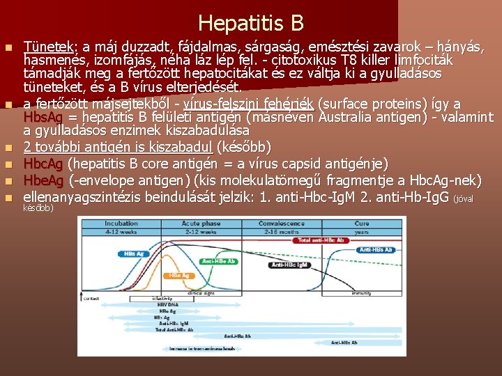 Hepatitis B n n n Tünetek: a máj duzzadt, fájdalmas, sárgaság, emésztési zavarok –