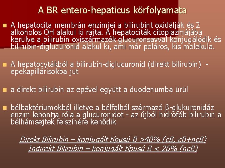 A BR entero-hepaticus körfolyamata n A hepatocita membrán enzimjei a bilirubint oxidálják és 2