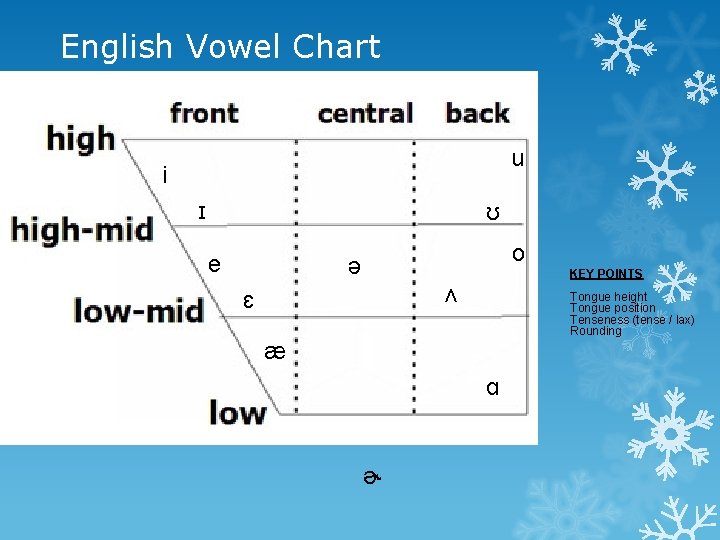 English Vowel Chart u i ɪ ʊ e o ə KEY POINTS ʌ ɛ