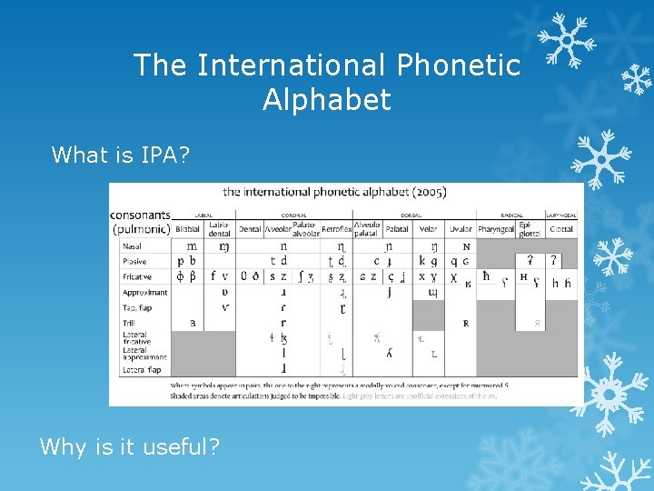 The International Phonetic Alphabet What is IPA? Why is it useful? 