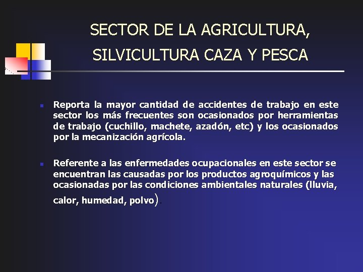 SECTOR DE LA AGRICULTURA, SILVICULTURA CAZA Y PESCA n n Reporta la mayor cantidad