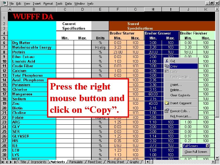 Press the right mouse button and click on “Copy”. 