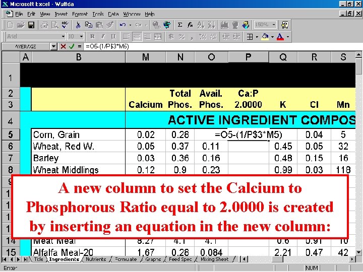 A new column to set the Calcium to Phosphorous Ratio equal to 2. 0000