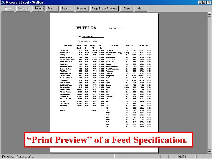 “Print Preview” of a Feed Specification. 