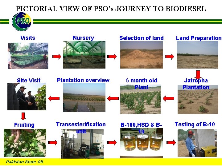 PICTORIAL VIEW OF PSO’s JOURNEY TO BIODIESEL B Visits Nursery Selection of land Site