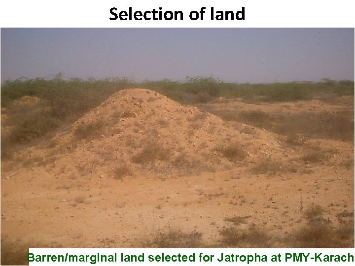 Selection of land B Barren/marginal land selected for Jatropha at PMY-Karachi Pakistan State Oil