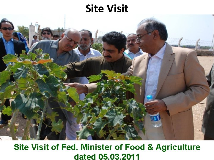 Site Visit B Site Visit of Fed. Minister of Food & Agriculture Pakistan State