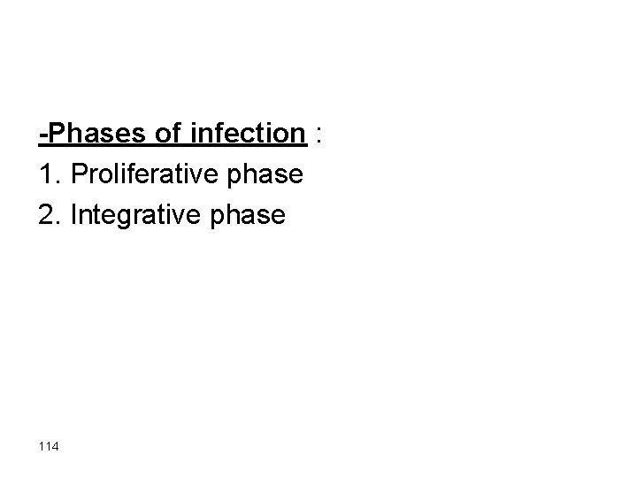 -Phases of infection : 1. Proliferative phase 2. Integrative phase 114 