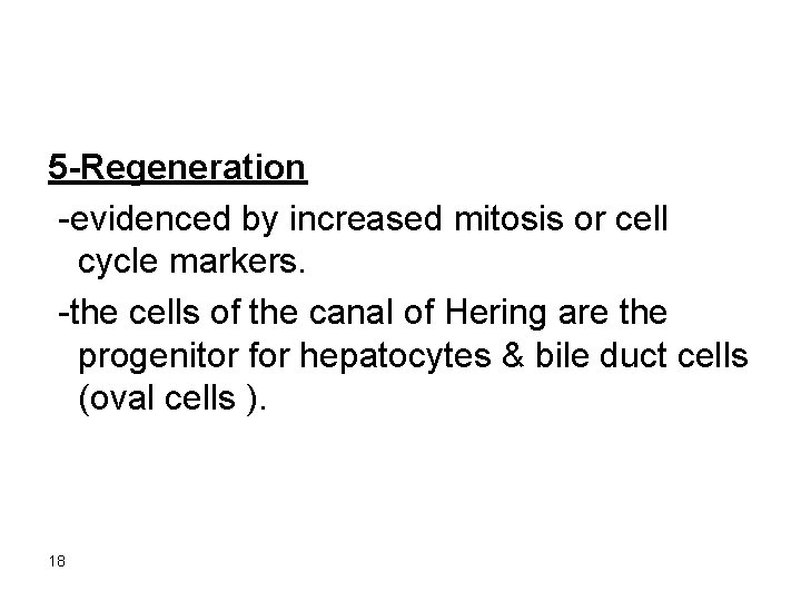 5 -Regeneration -evidenced by increased mitosis or cell cycle markers. -the cells of the