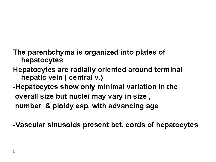 The parenbchyma is organized into plates of hepatocytes Hepatocytes are radially oriented around terminal