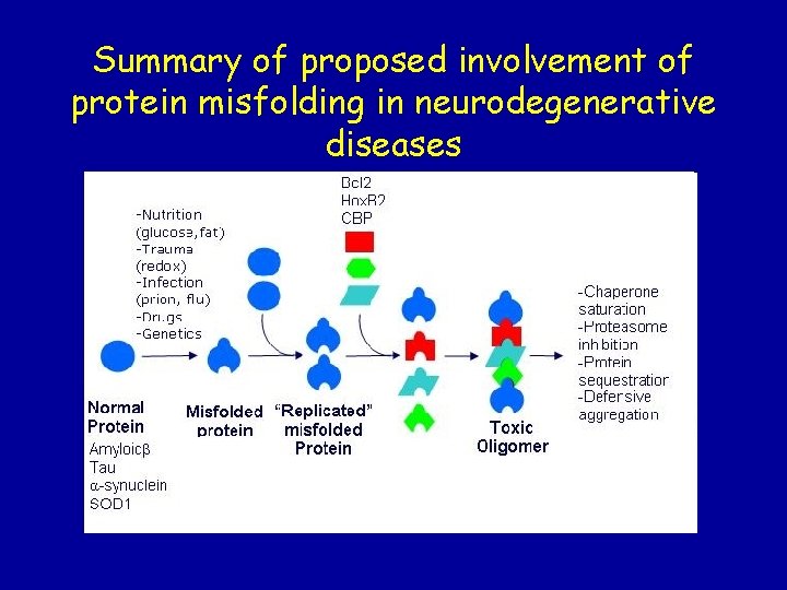 Summary of proposed involvement of protein misfolding in neurodegenerative diseases 