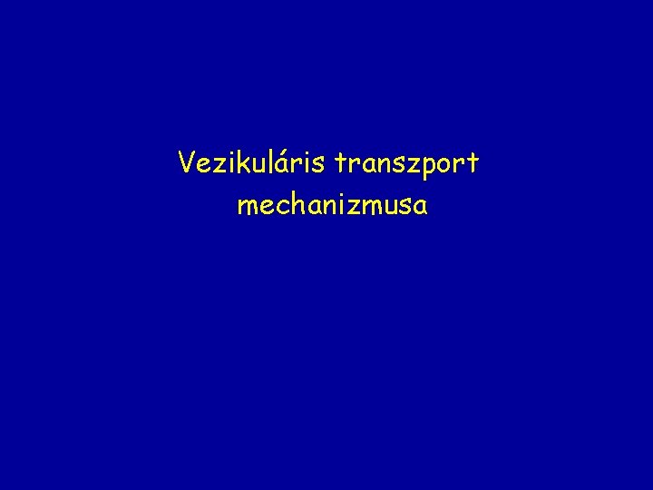 Vezikuláris transzport mechanizmusa 