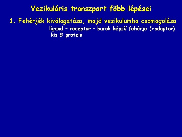 Vezikuláris transzport főbb lépései 1. Fehérjék kiválogatása, majd vezikulumba csomagolása ligand – receptor –