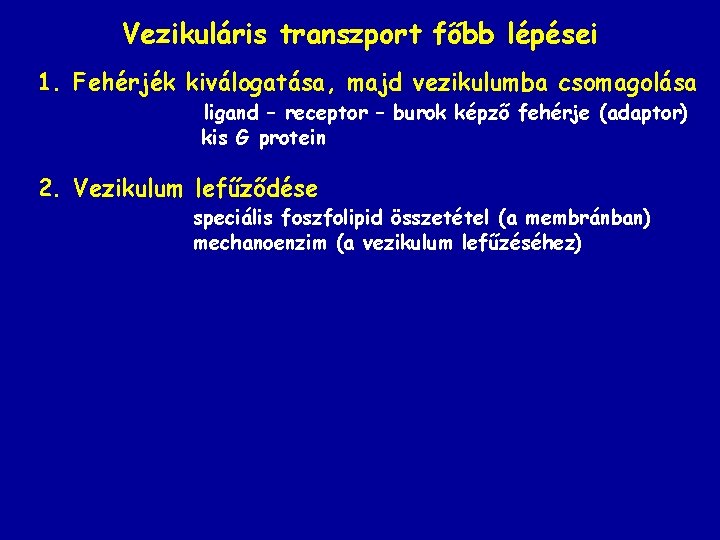 Vezikuláris transzport főbb lépései 1. Fehérjék kiválogatása, majd vezikulumba csomagolása ligand – receptor –