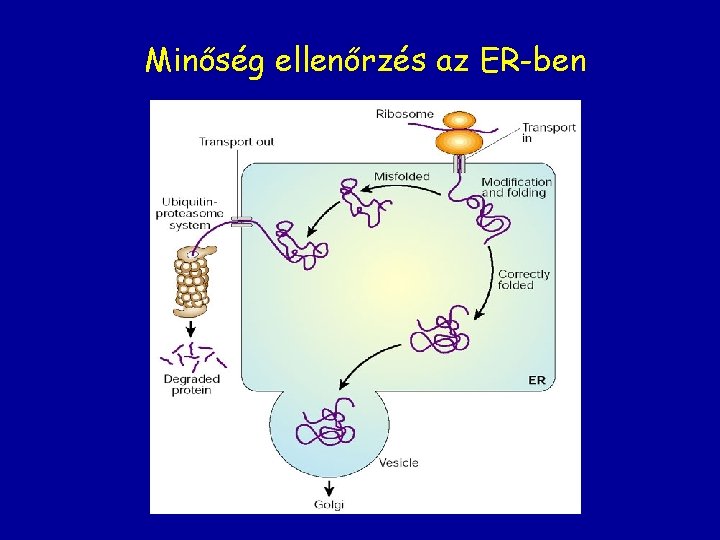 Minőség ellenőrzés az ER-ben 