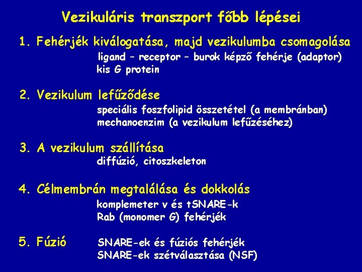 Vezikuláris transzport főbb lépései 1. Fehérjék kiválogatása, majd vezikulumba csomagolása ligand – receptor –