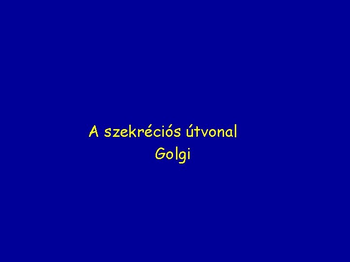 A szekréciós útvonal Golgi 