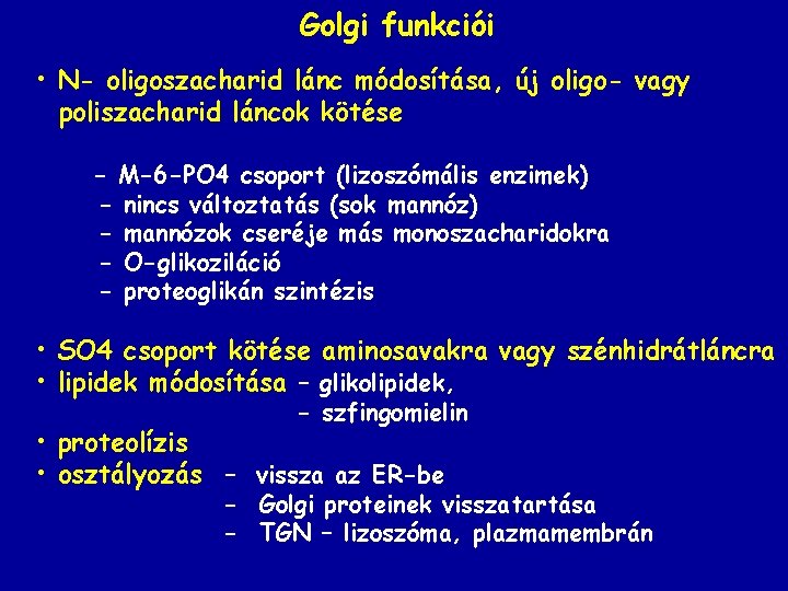 Golgi funkciói • N- oligoszacharid lánc módosítása, új oligo- vagy poliszacharid láncok kötése -