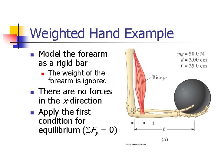 Weighted Hand Example n Model the forearm as a rigid bar n n n