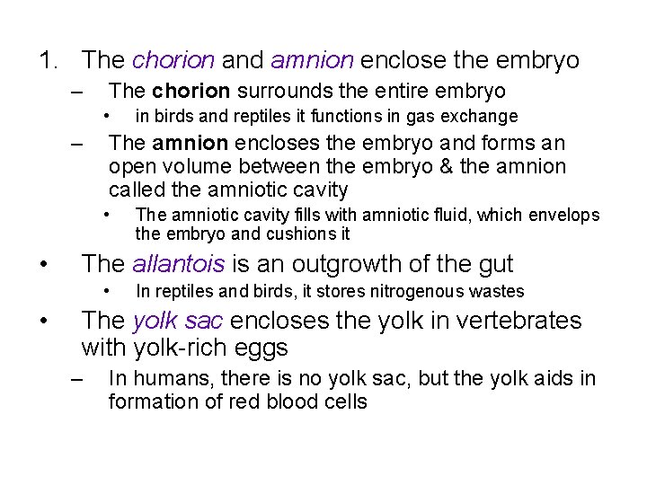 1. The chorion and amnion enclose the embryo – The chorion surrounds the entire